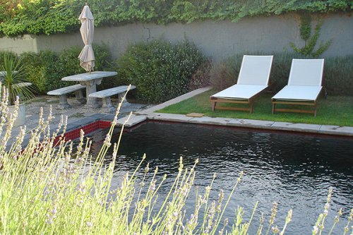 Aloe Guest House 006